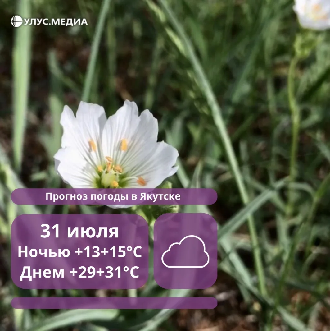 В Якутске ожидается жара до +31°С, а в арктических районах — дожди и сильный ветер

⛈️ В пятницу на 