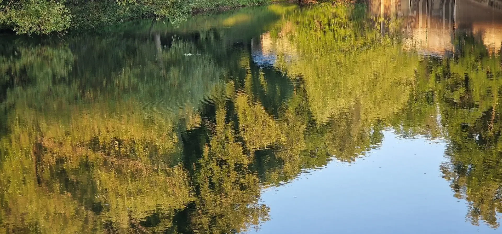 🌳 Соседка показала зеркальную красоту Лефортовского парка
