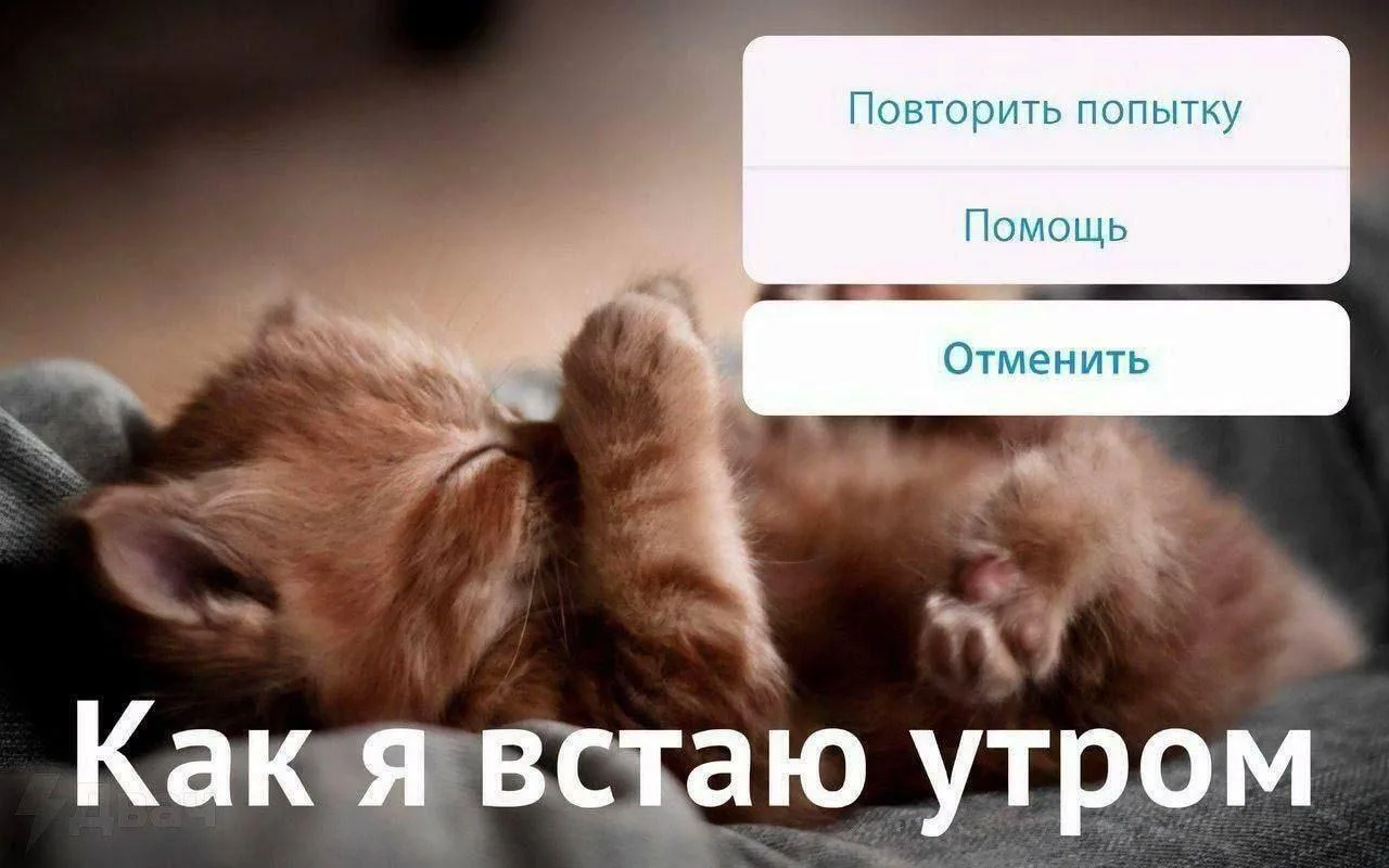 Очень реалистично 😁