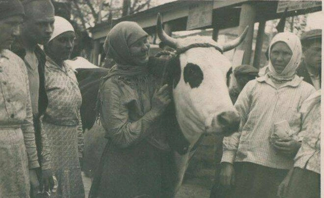 «В октябре или ноябре 1931 года на нашу деревню был совершен внезапный набег «комиссии»...