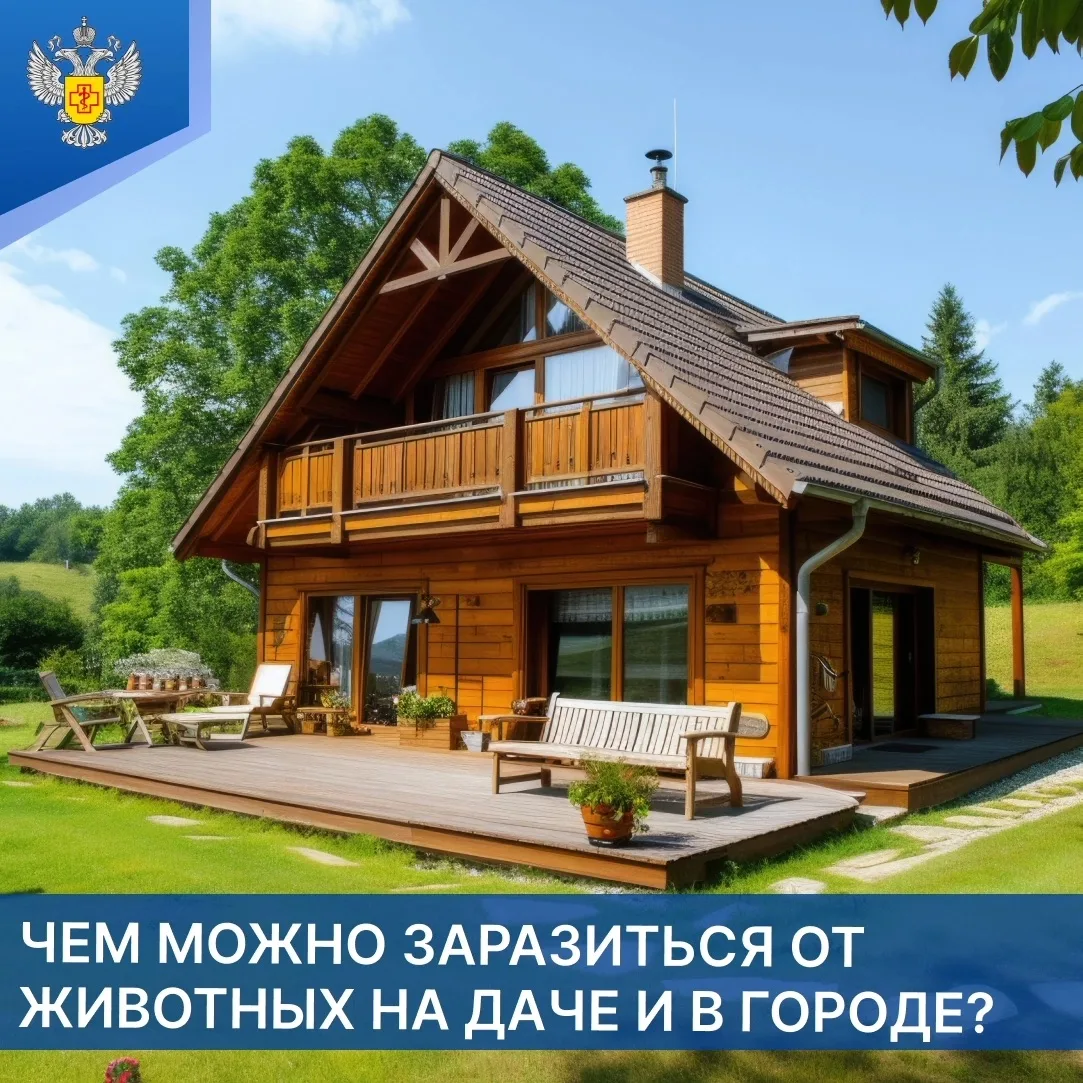 На даче и в пригородных зонах, где тесное взаимодействие человека с животным миром боле...