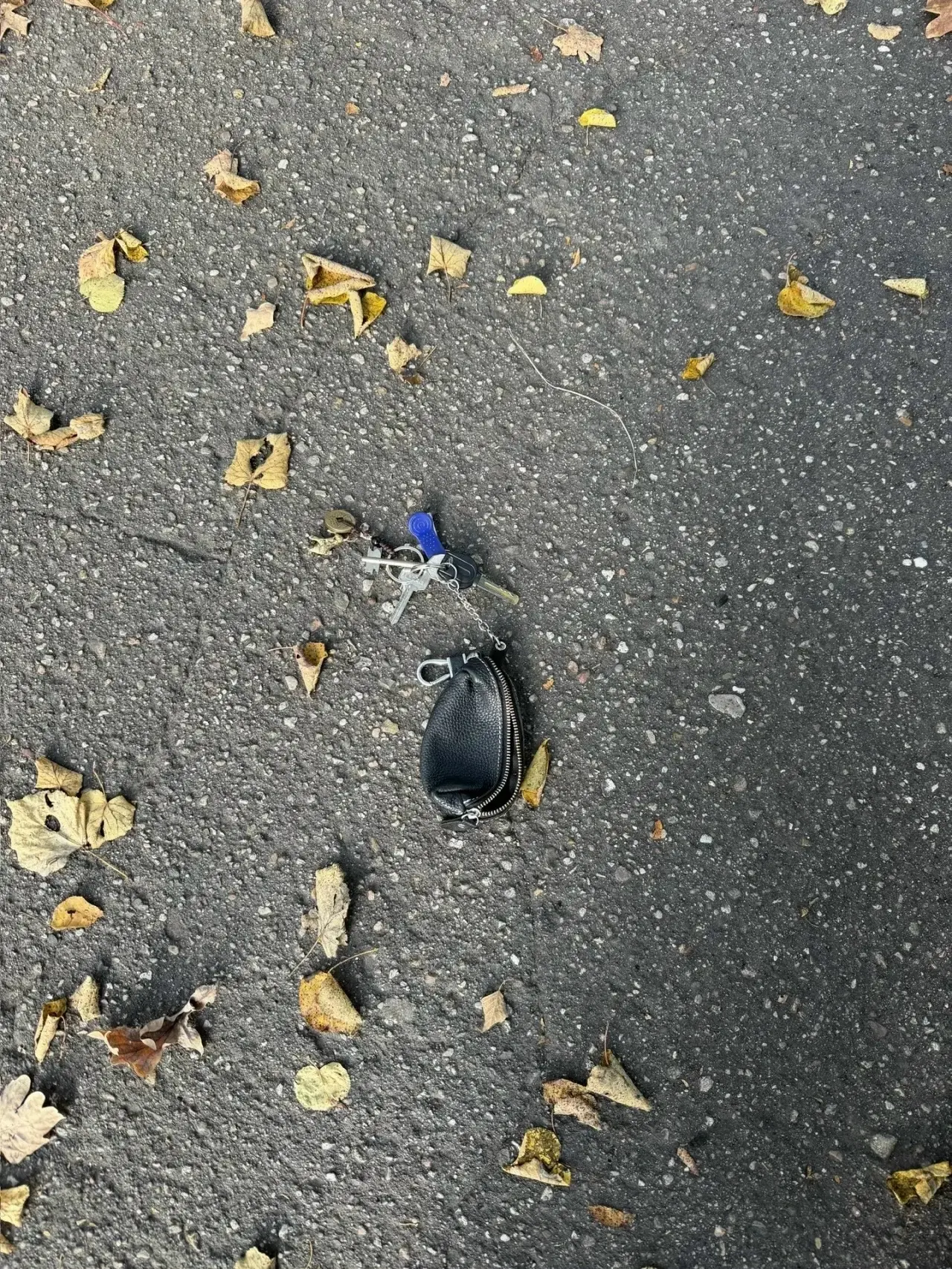 В парке на советской найдены ключи 🔑