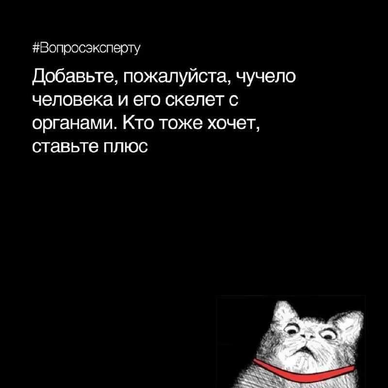#Вопросэксперту:
Добавьте, пожалуйста, чучело человека и его скелет с органами. Кто тоже хочет, став
