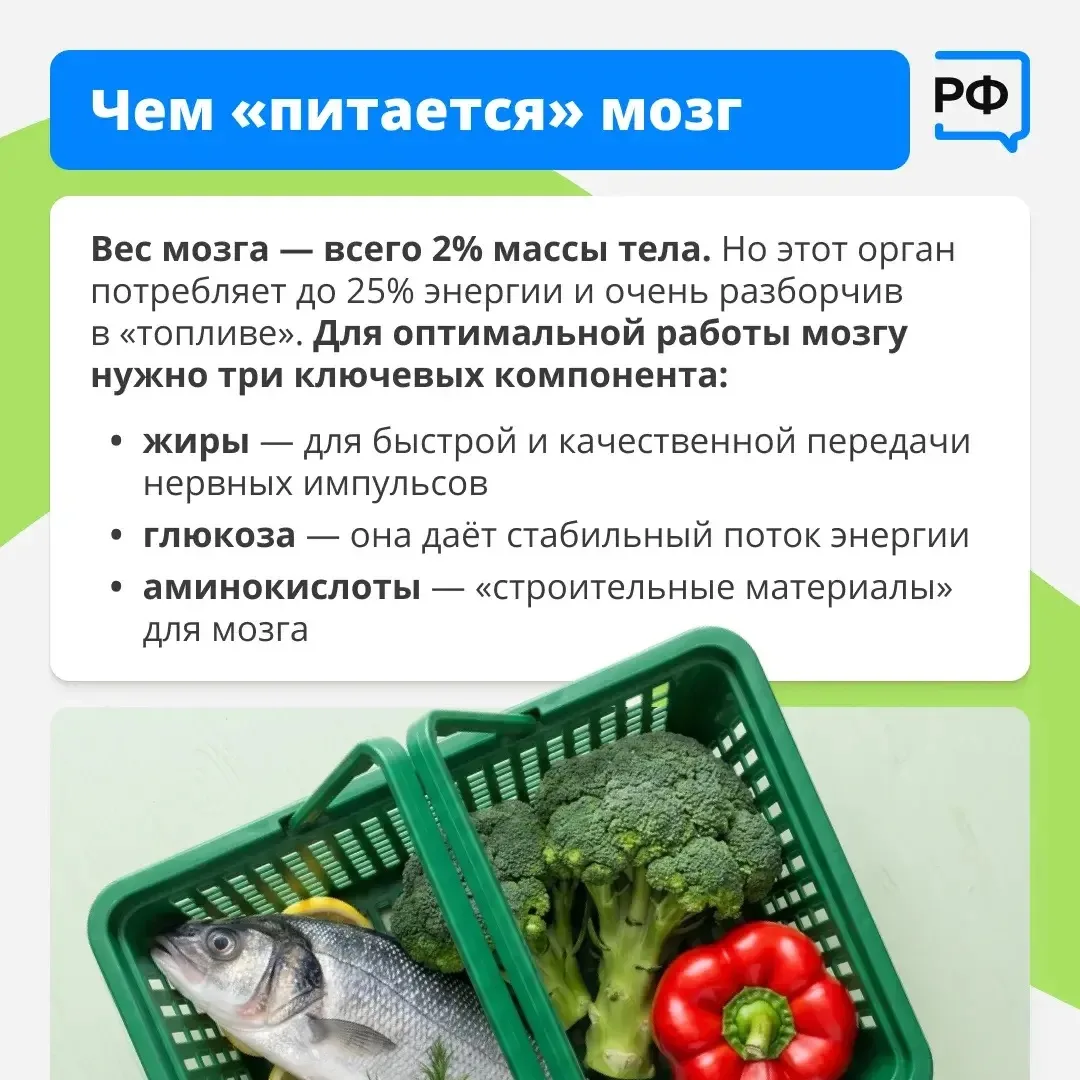🧠 Хотите думать ясно, эффективно принимать решения и легко учиться новому? Секрет хорошей памяти и с