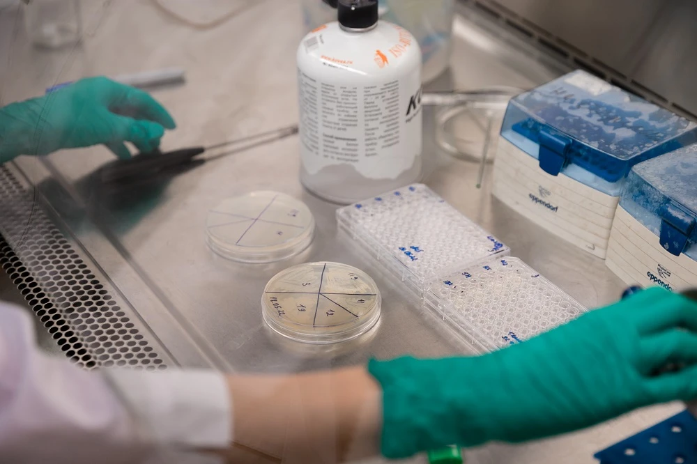 🧪 Разработана методика оценки сорбентов для ликвидации разливов нефти

🔬 В РГУ нефти и газа (НИУ) 