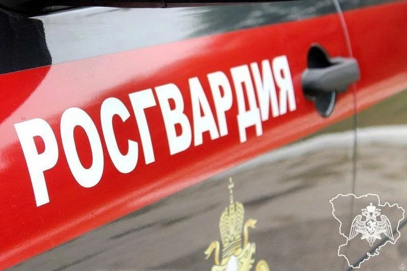 Росгвардейцы задержали в Камышине похитительницу телевизора