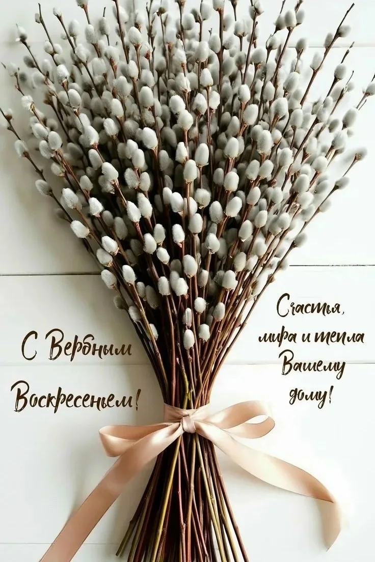 Дорогие друзья! С Вербным воскресеньем! Пусть веточка вербы принесет в ваш дом радость, уют, теплоту