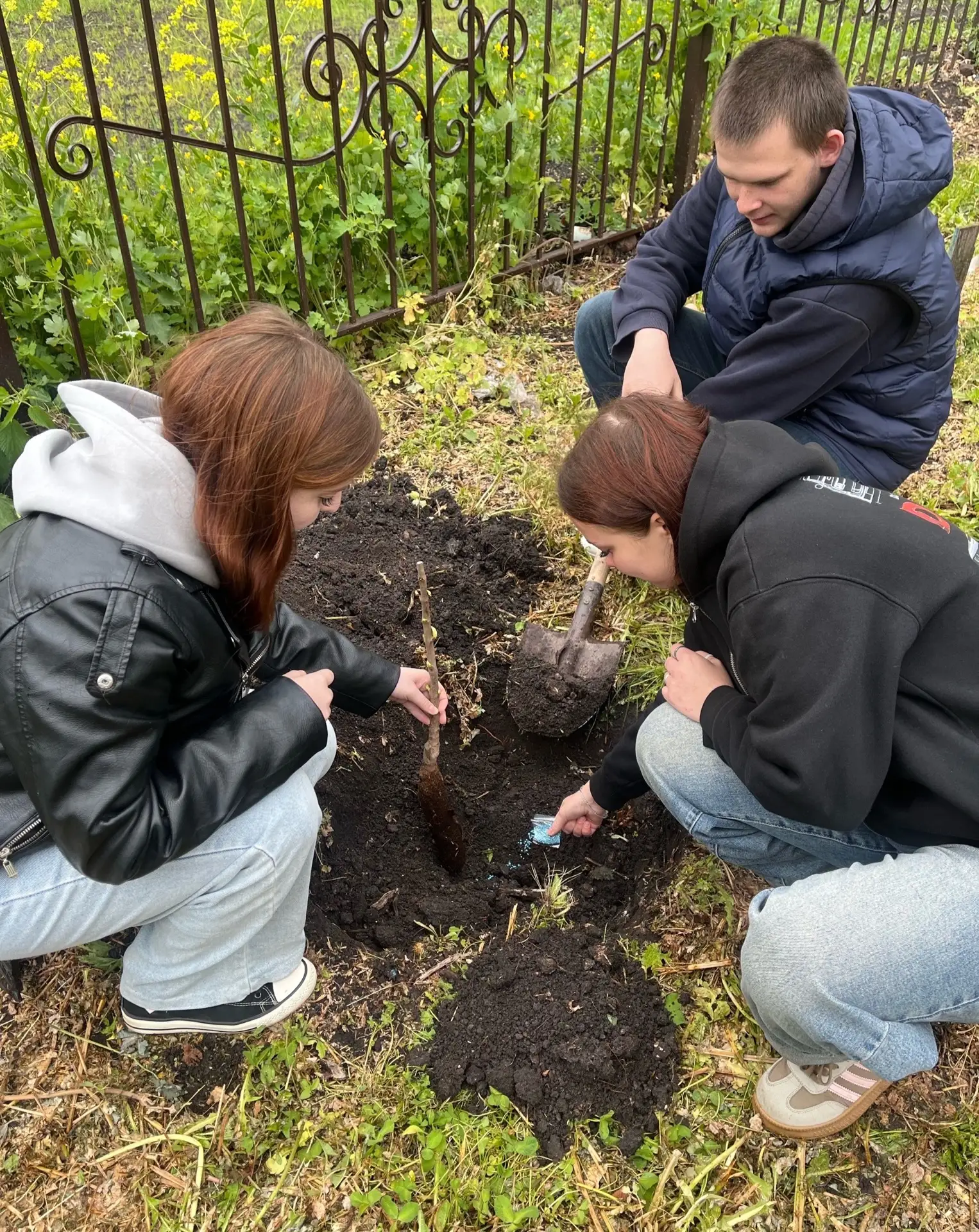 Традиция   выпускников 🌲