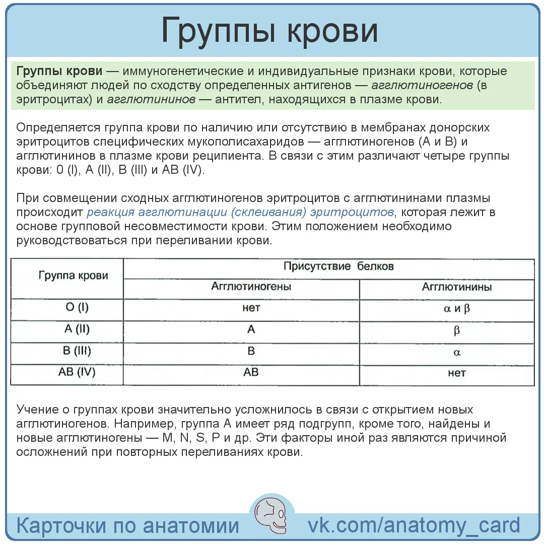 Группы крови