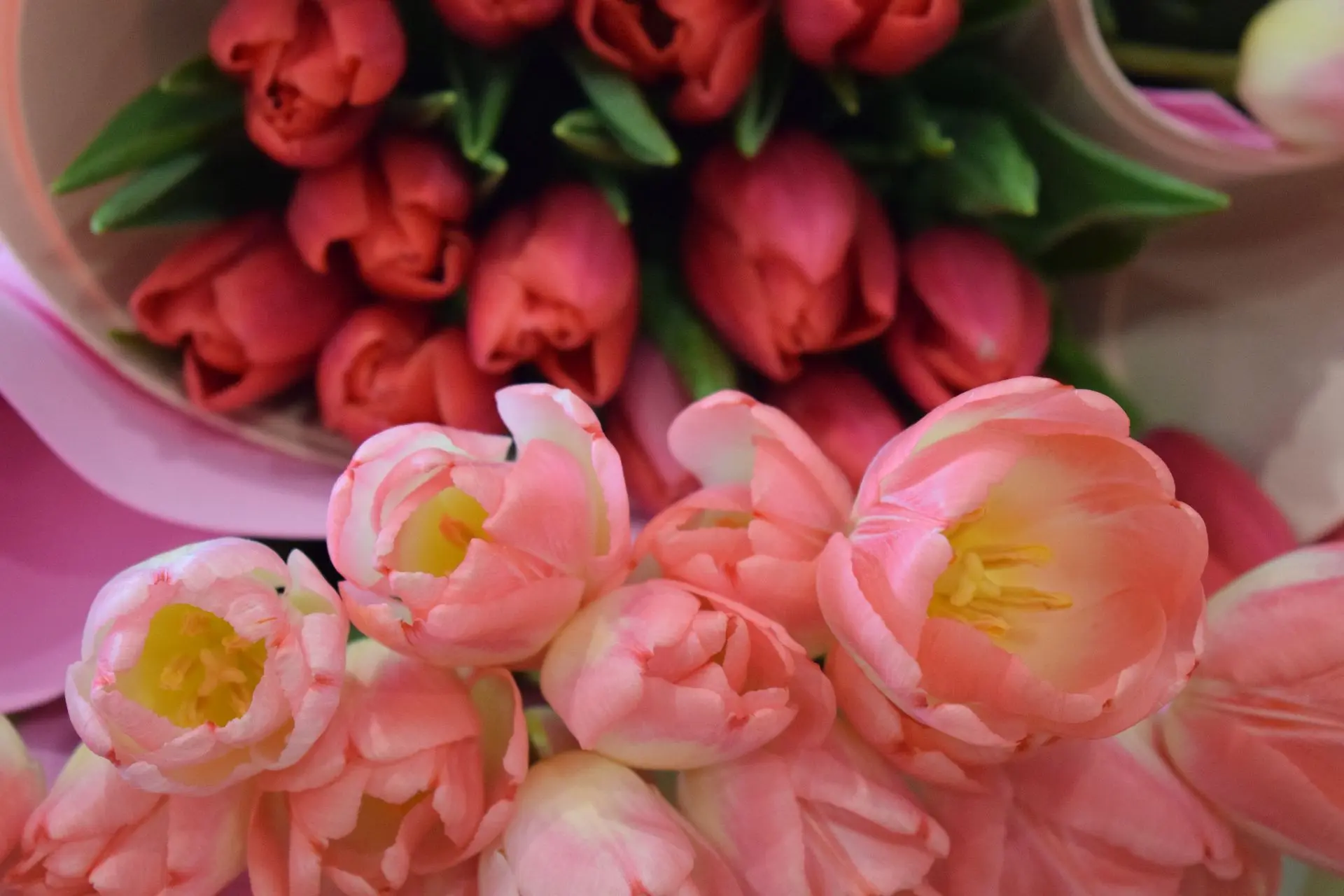 💐Дорогие женщины, с 8 марта!