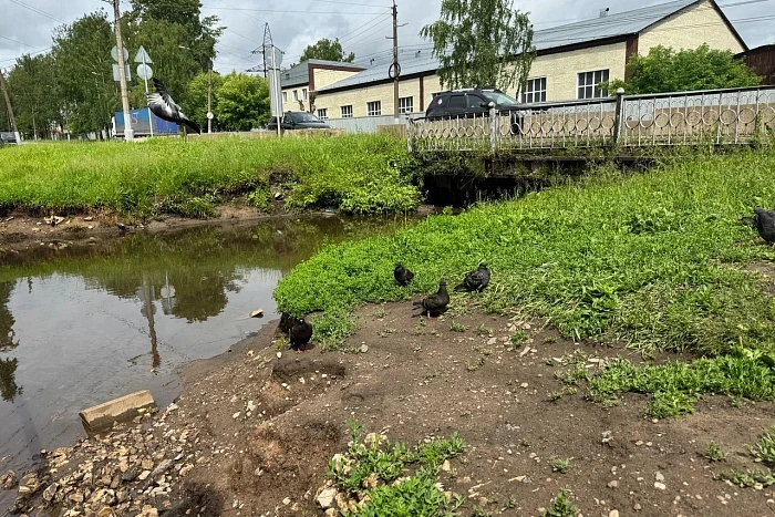 В Нововятском районе Кирова специалисты предприятия «НовоВятка» очистили реку Чумовицу,...