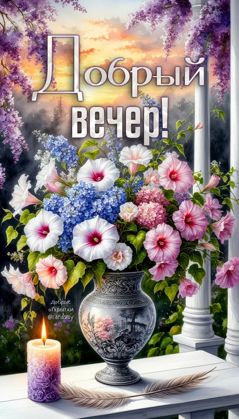 Добрый вечер!