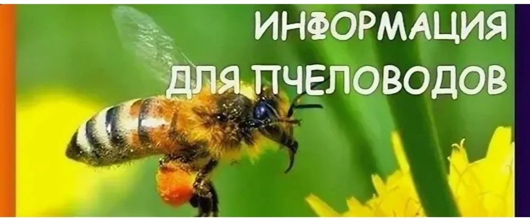 Информация для пчеловодов