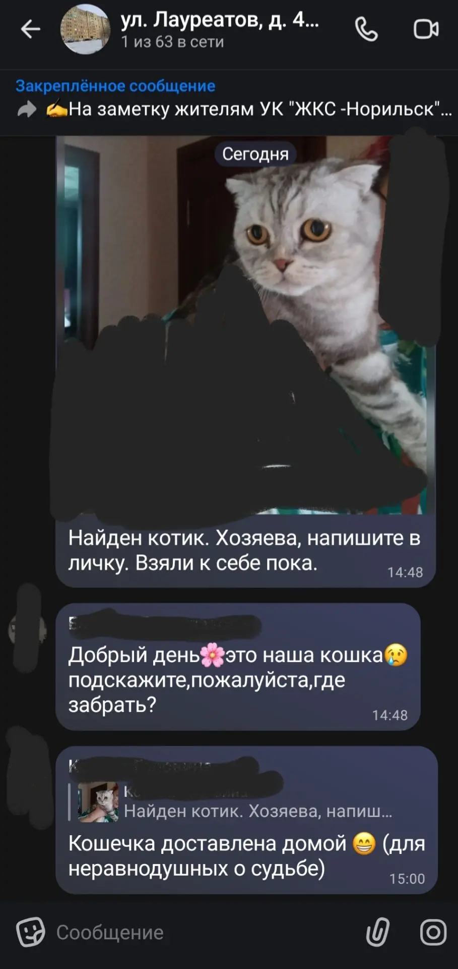 🤗Домовые чаты в МАКС  - это ещё и про котиков.

(Про похожего котика писали в нескольких чатах)