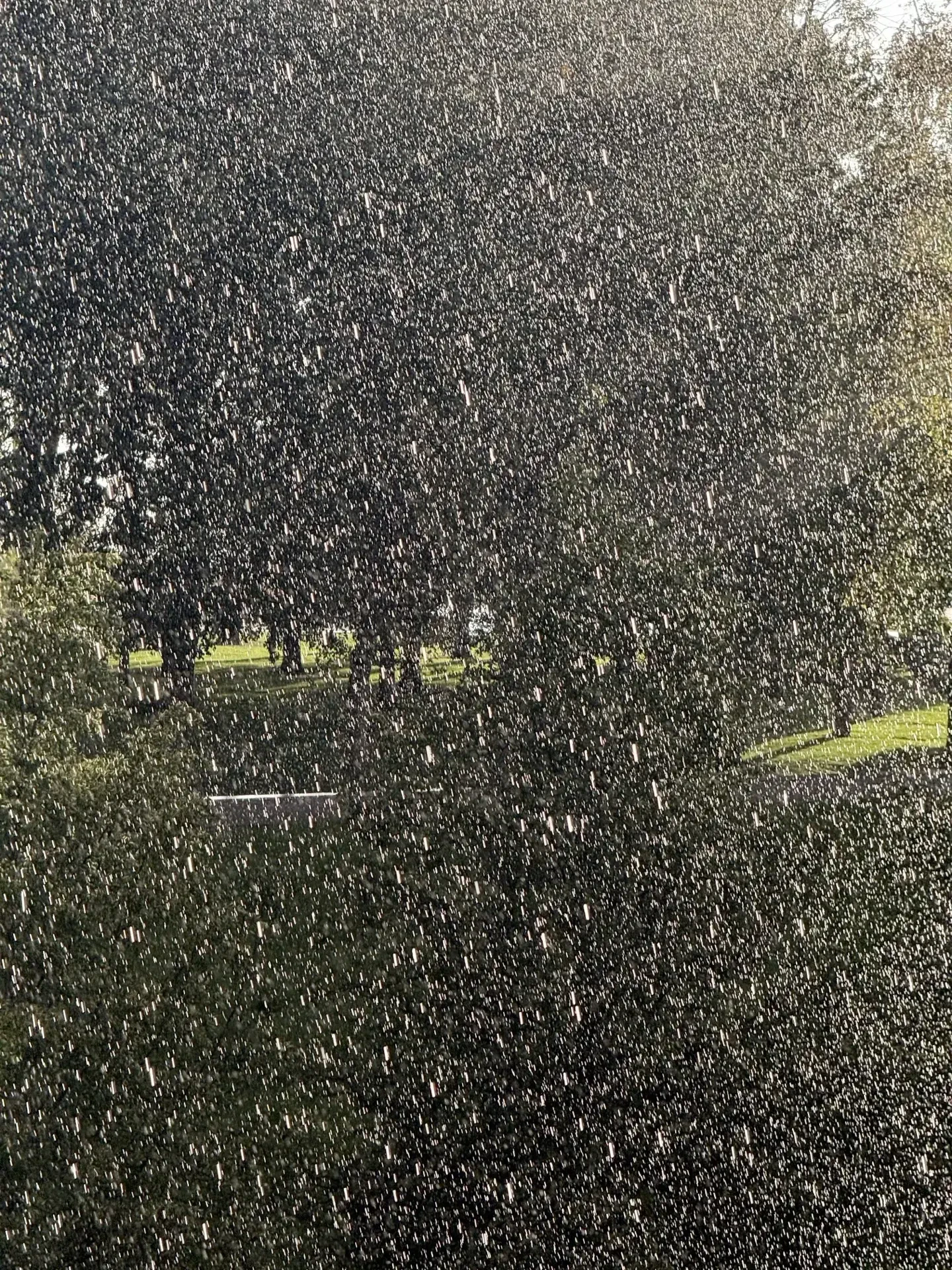 Сильные дожди ожидаются в Нижнем Новгороде 18 и 19 июня 🌧️
 
По данным ФГБУ «Верхне-Волжское УГМС»,