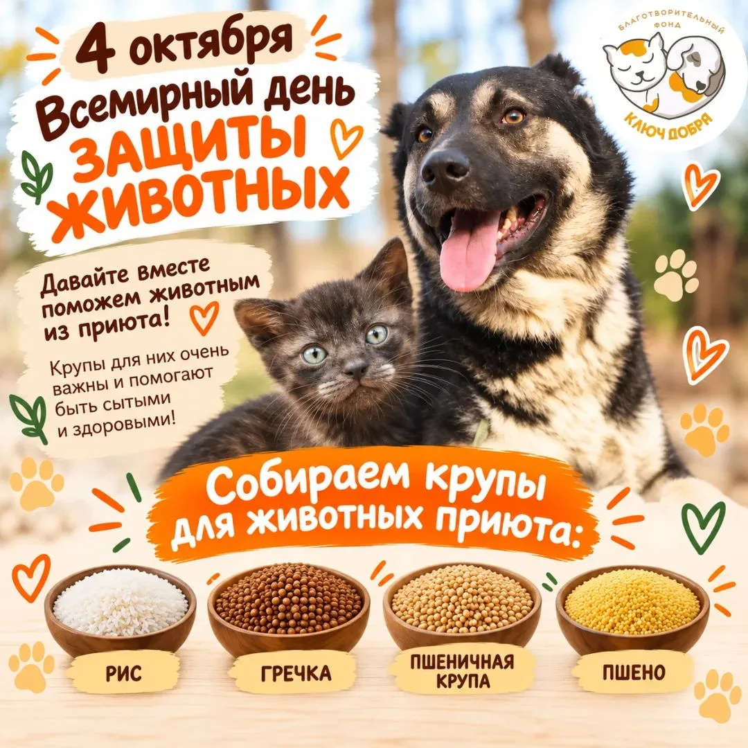 4 октября — Всемирный день защиты животных
