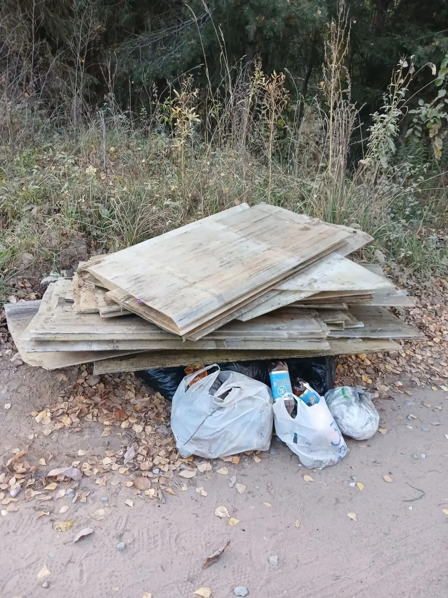 Сволочь мужского рода ,который приехал на машине и выгружал свои садовые отходы в мешка...