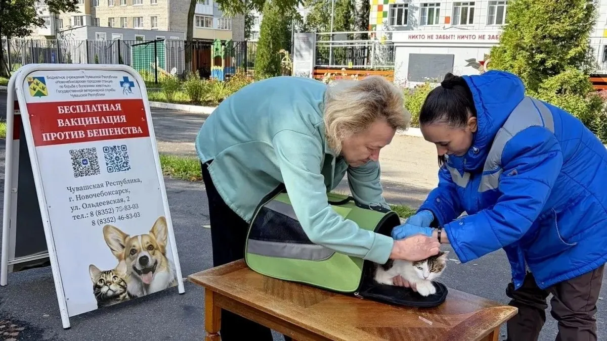 В Новочебоксарске завершилась выездная кампания по вакцинации животных. За месяц мобиль...