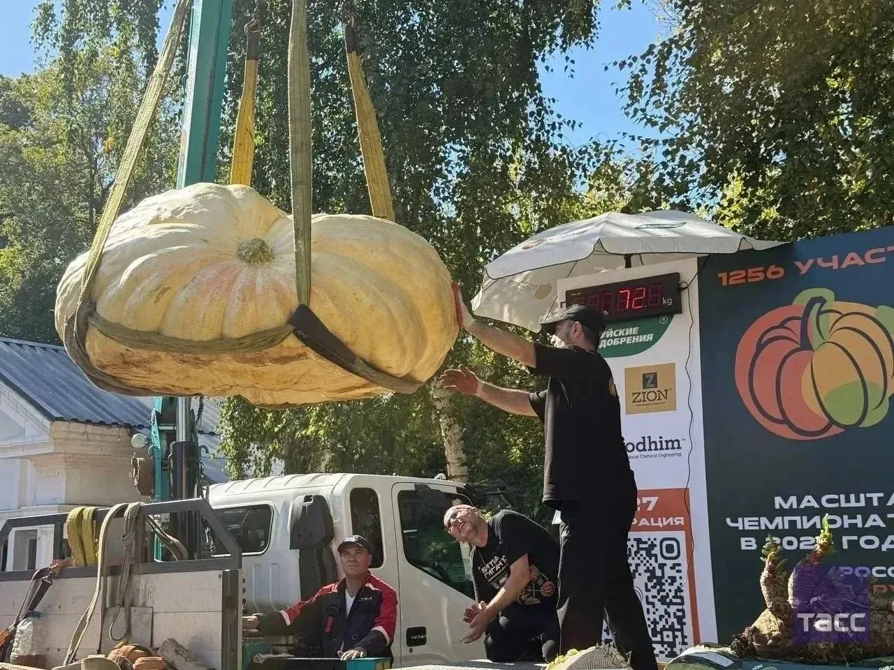 🎃 817 кило: школьник из Приангарья вырастил самую большую тыкву в стране