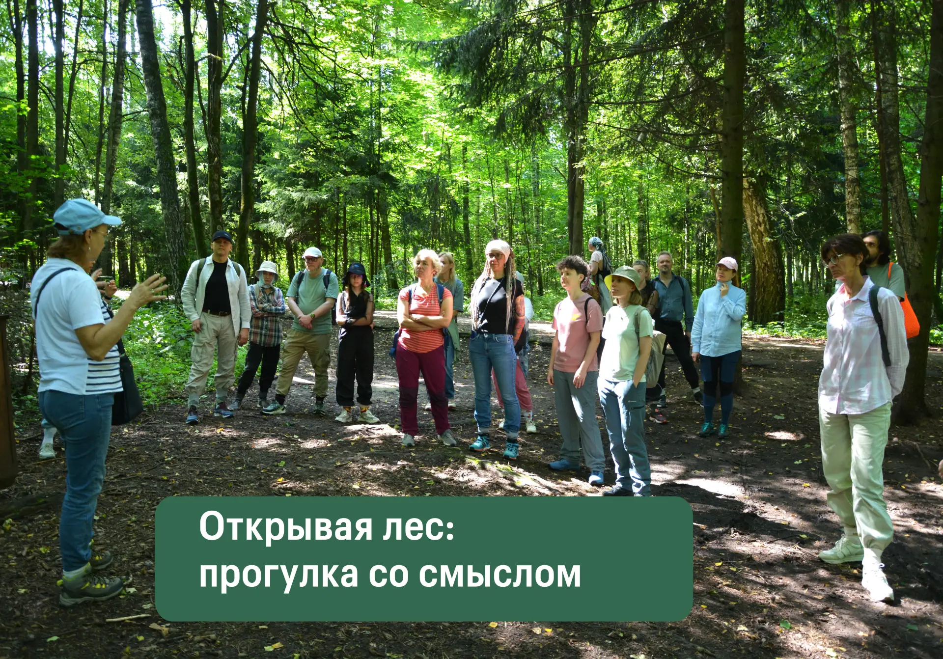 Лесные просветительские прогулки вызывают интерес у команд и организаций, выбирающих ос...