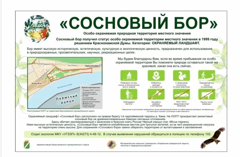 Сегодня на территории ООПТ «Сосновый бор» установили новый информационный аншлаг! 👍

✅Теперь каждый