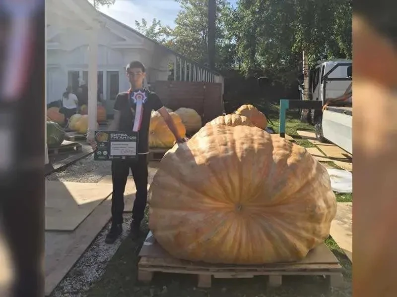 📰ИЗ СВЕЖЕГО НОМЕРА