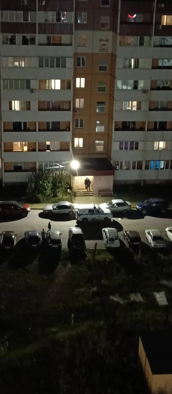 Соседи не могут добиться помощи для запертой на балконе собаки в Магнитогорске