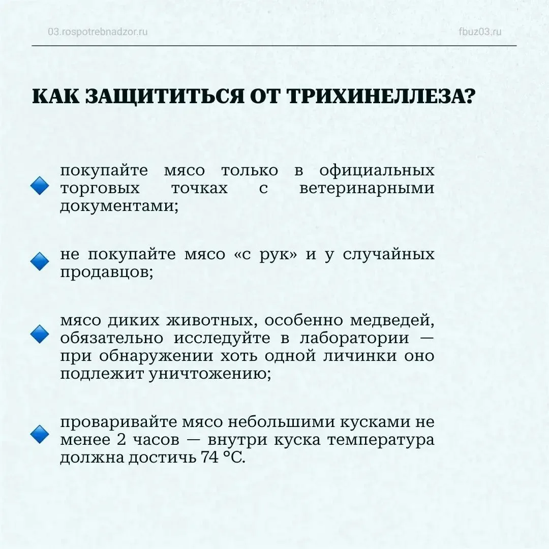 🚨 Трихинеллёз: как защититься от опасного заболевания