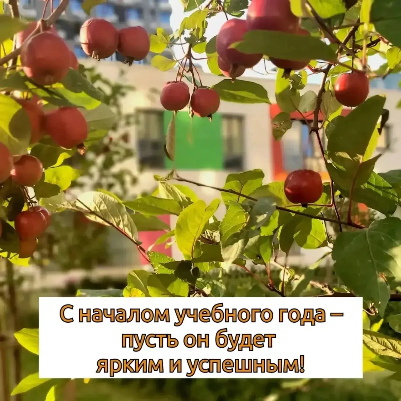 «День знаний в детском саду»: море веселья, песен, танцев и любимых героев!🎊
