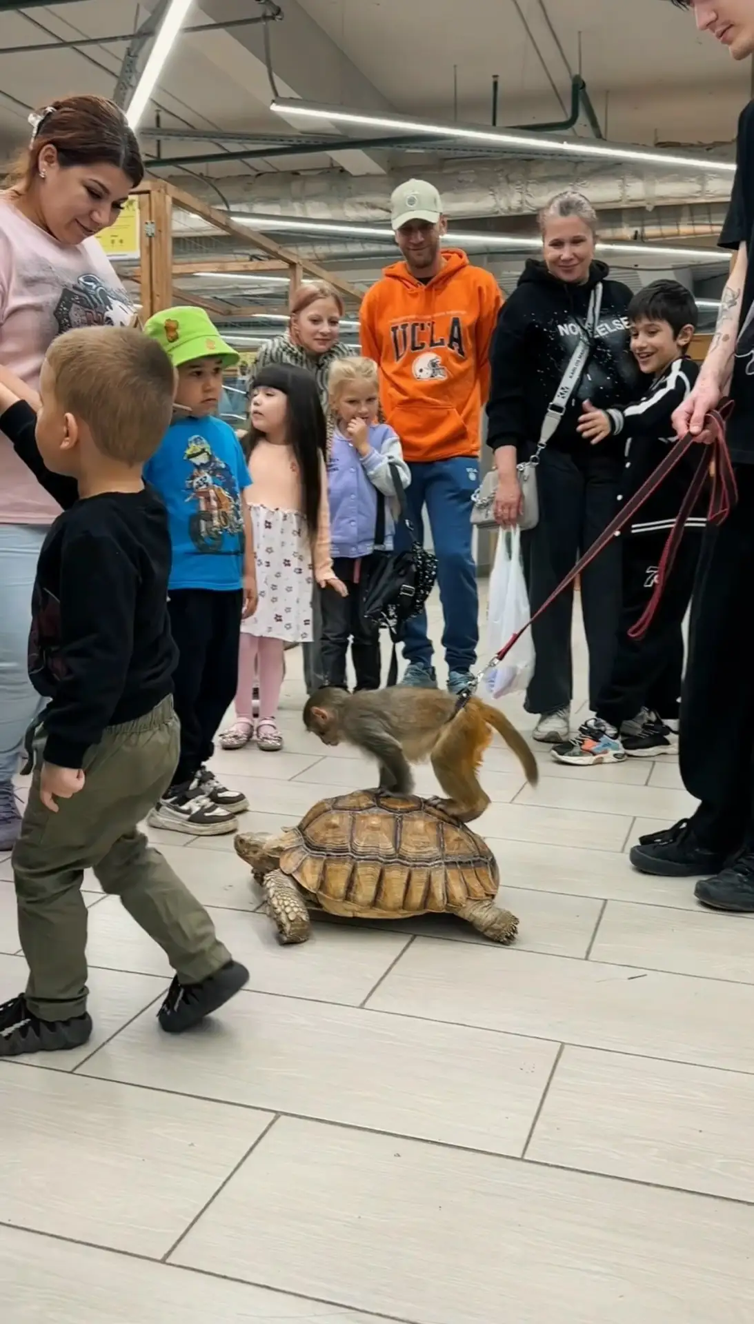 Приходи в Зооландию  https://vk.com/zooland_rus за яркими эмоциями и мега впечатлениями.  Познакомим