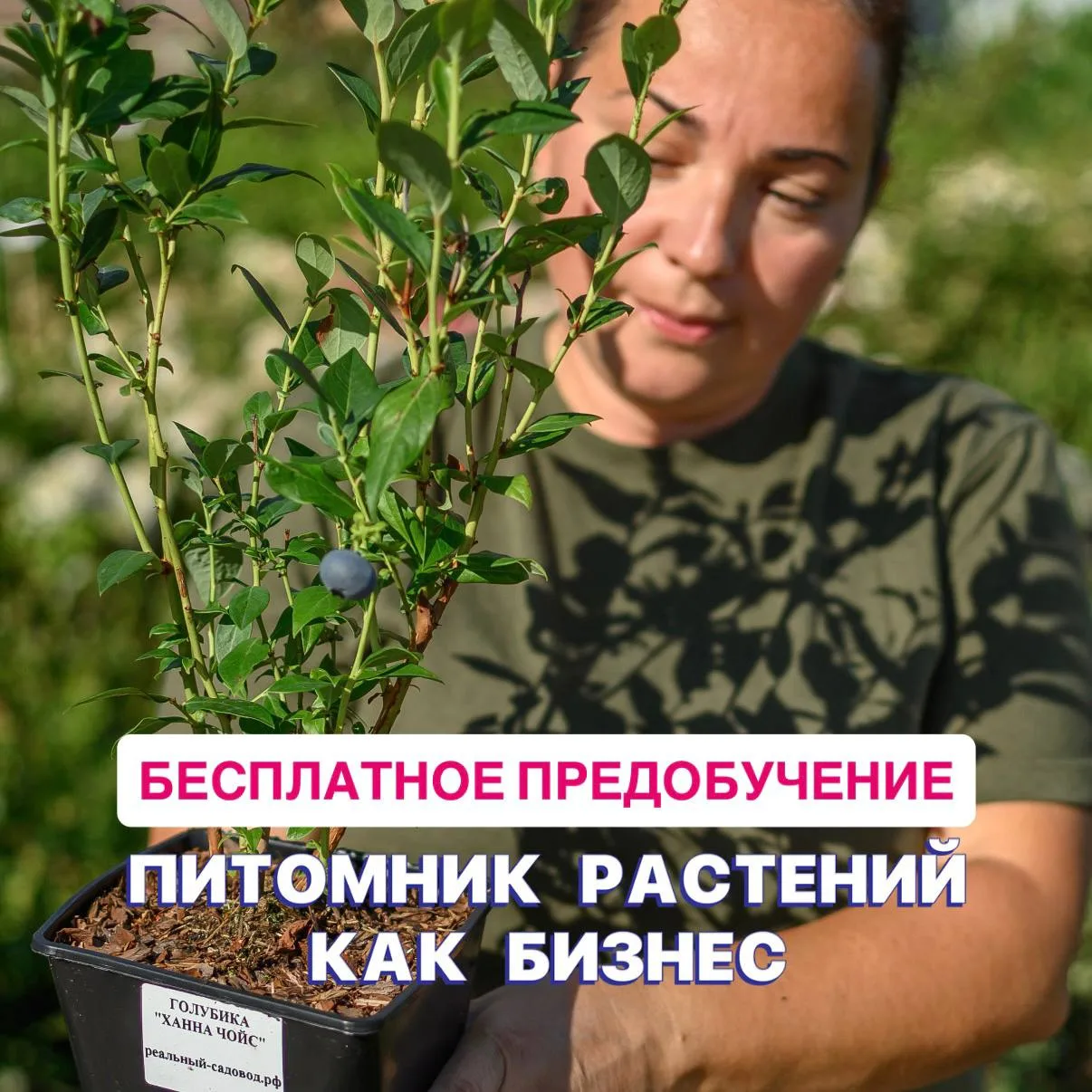 Если у вас есть участок, любовь к растениям и смутное ощущение, что всё это может прино...