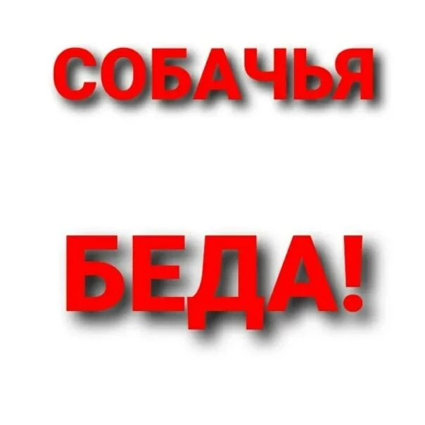 СРОЧНО ❗❗❗