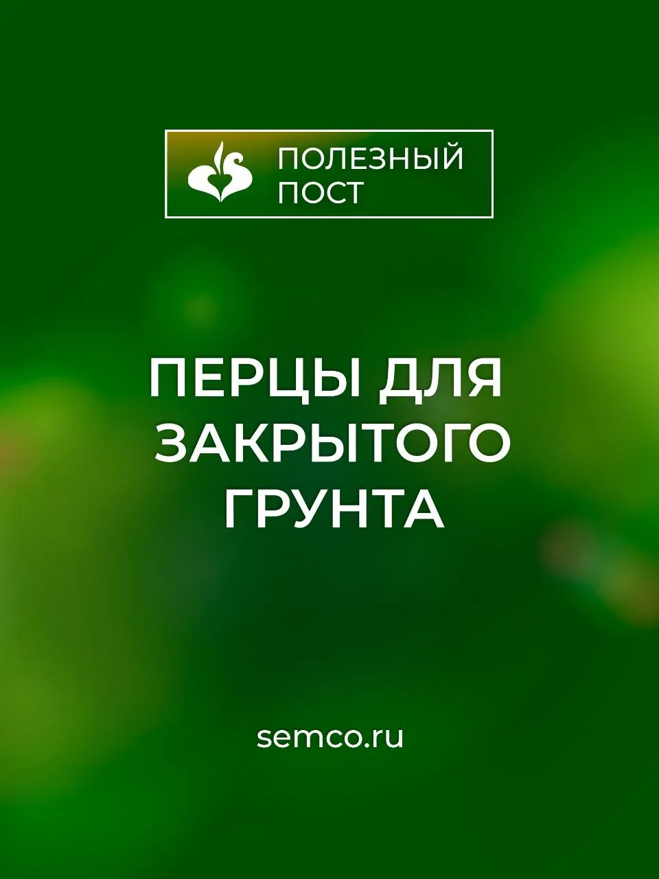 Заказать эти вкусные и урожайные сладкие перцы для закрытого грунта вы можете на semco.ru.