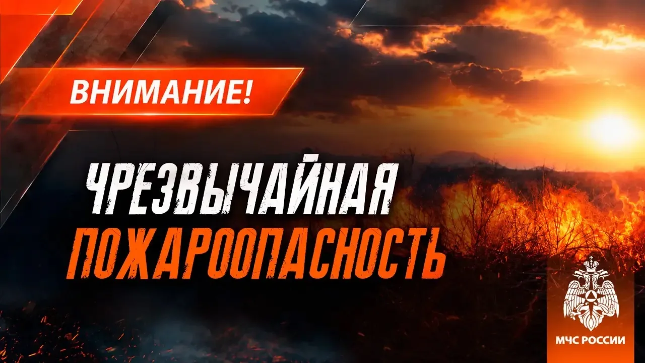 ‼Чрезвычайная пожароопасность (5 класс) в центральных районах ДНР, на остальной террито...