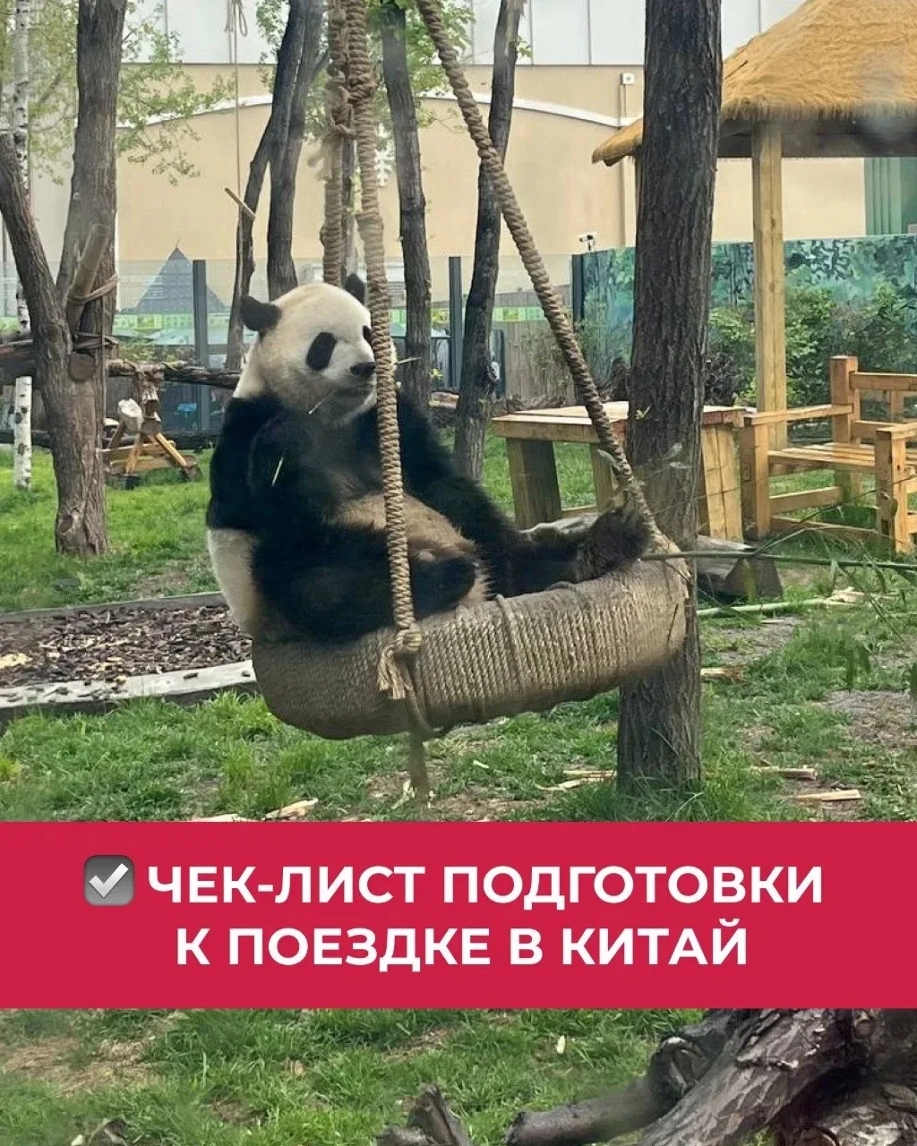 Чек-лист подготовки к поездке в Китай 🇨🇳