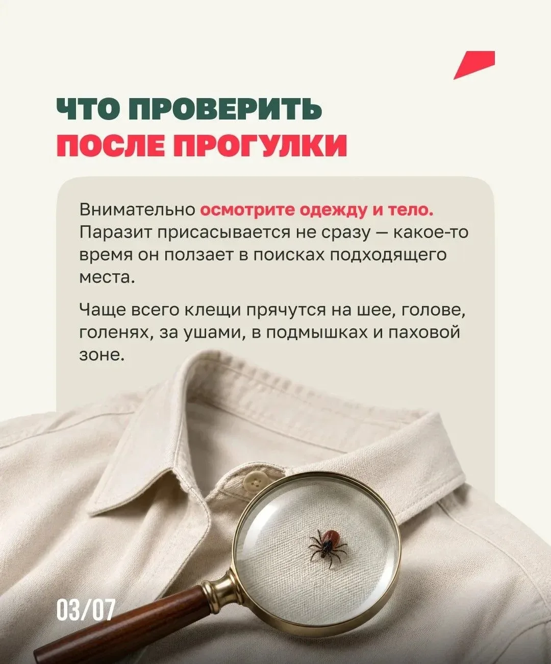 Клещи ближе, чем ты думаешь🕷️  Они обитают не только в лесу, но и на дачах, в парках и вдоль тропино