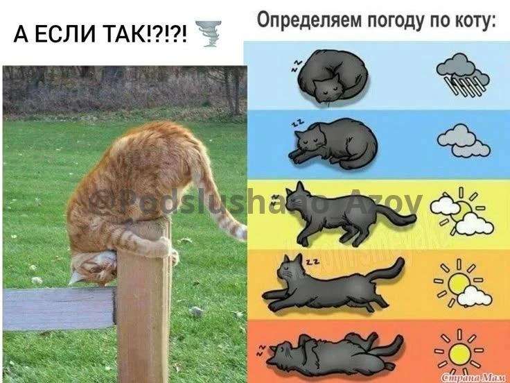 В воскресенье, 4 октября, погода в Азове будет прохладная, днём воздух прогреется до +1...
