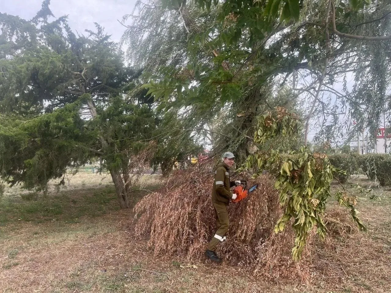 🌳 Ветки у площадки на Вокзальном шоссе убрали через день