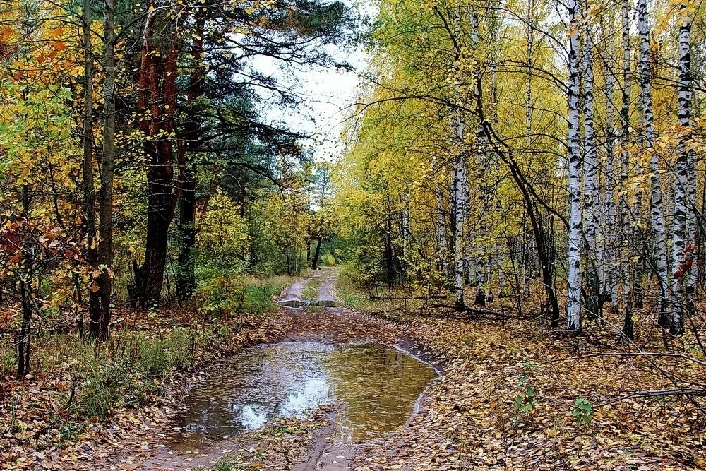 Октябрь 🍂🧡🍁