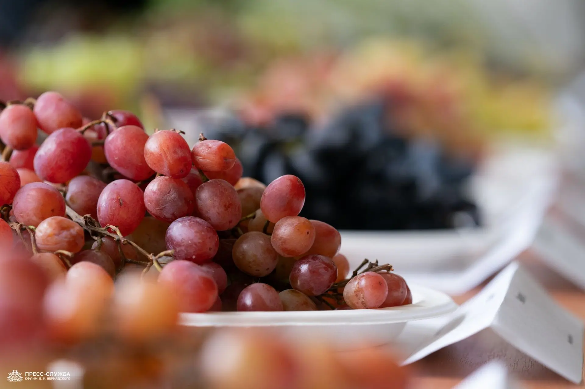 🍇 В Агротехнологической академии состоялось ежегодное заседание научного студенческого...