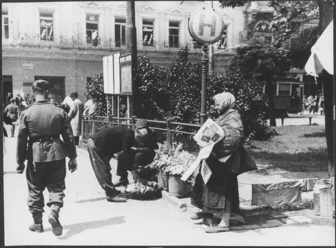 Умиление от нацистской оккупации

Это Львов 1941-43 годов. На первых двух фотографиях - Adolf-Hitler
