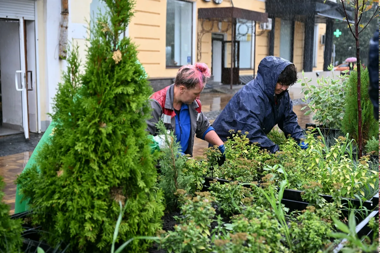 🌺 В парках и скверах Тамбова приводят в порядок цветники. 🌷  

🌿 Из‑за дождей и тепла активно рас