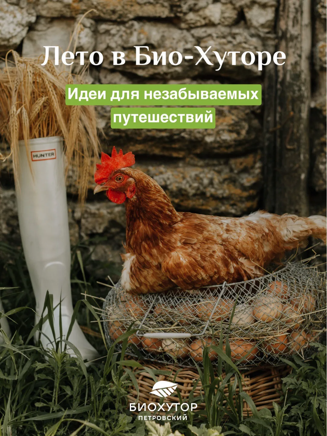Откройте для себя сельский туризм в «Био-Хуторе»
