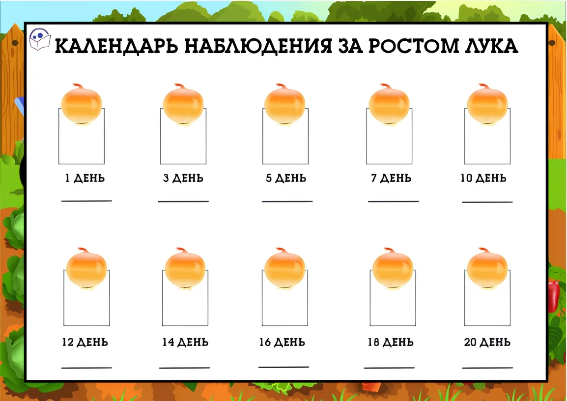 🌱 Подборка идей для оформления посадки лука на окошке  ‼️ Коллеги, рекомендуем наши полезные каналы 