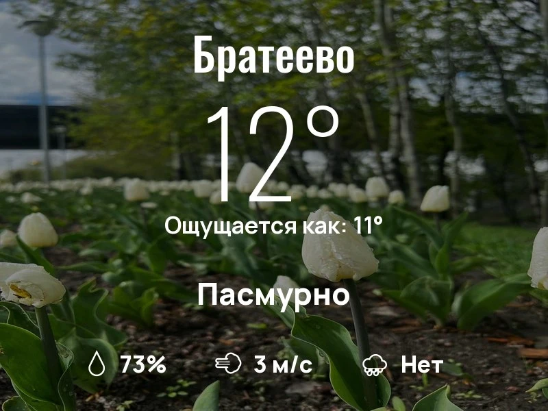 Что с погодой в Братеево?