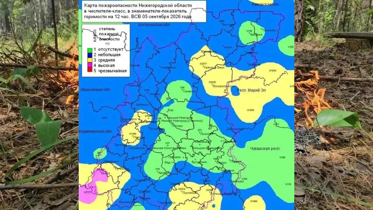 🔥 По данным регионального Минлесхоза на территории области в лесах установился 2, 3, м...