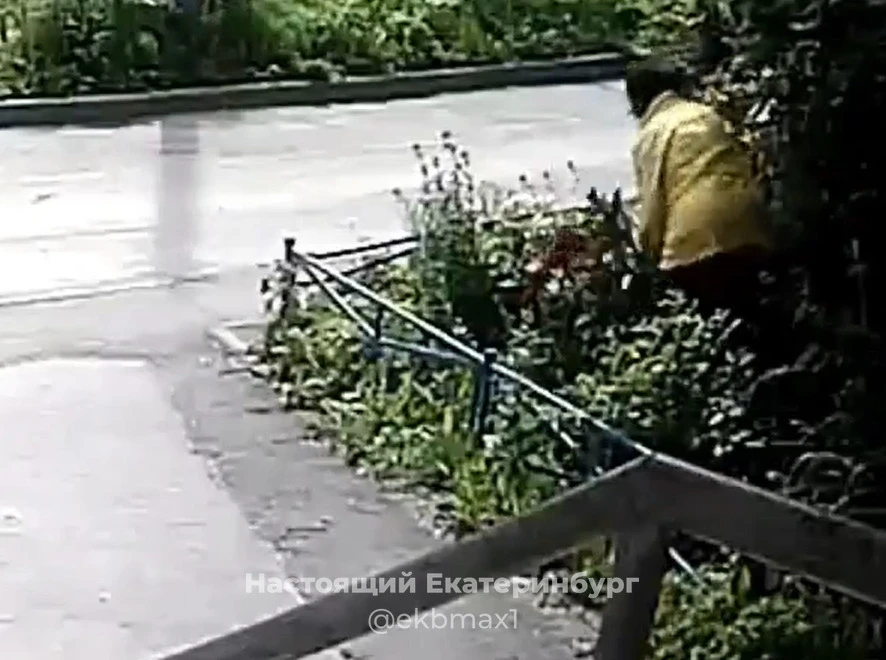 По адресу Новгородцевой, 17 женщина не первый год стабильно рвет и топчет цветы, выраще...