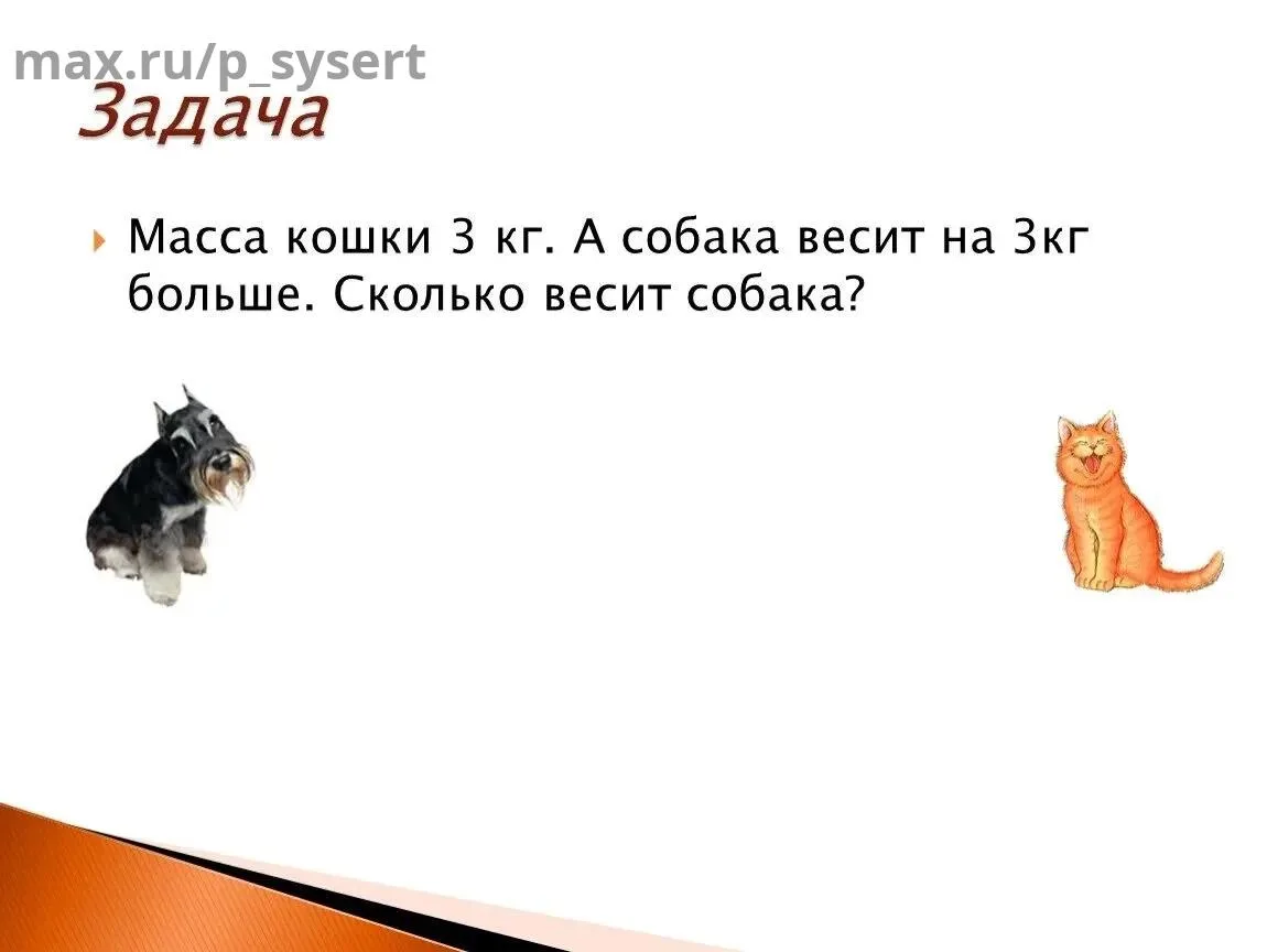 Утренняя разминка 🤓
