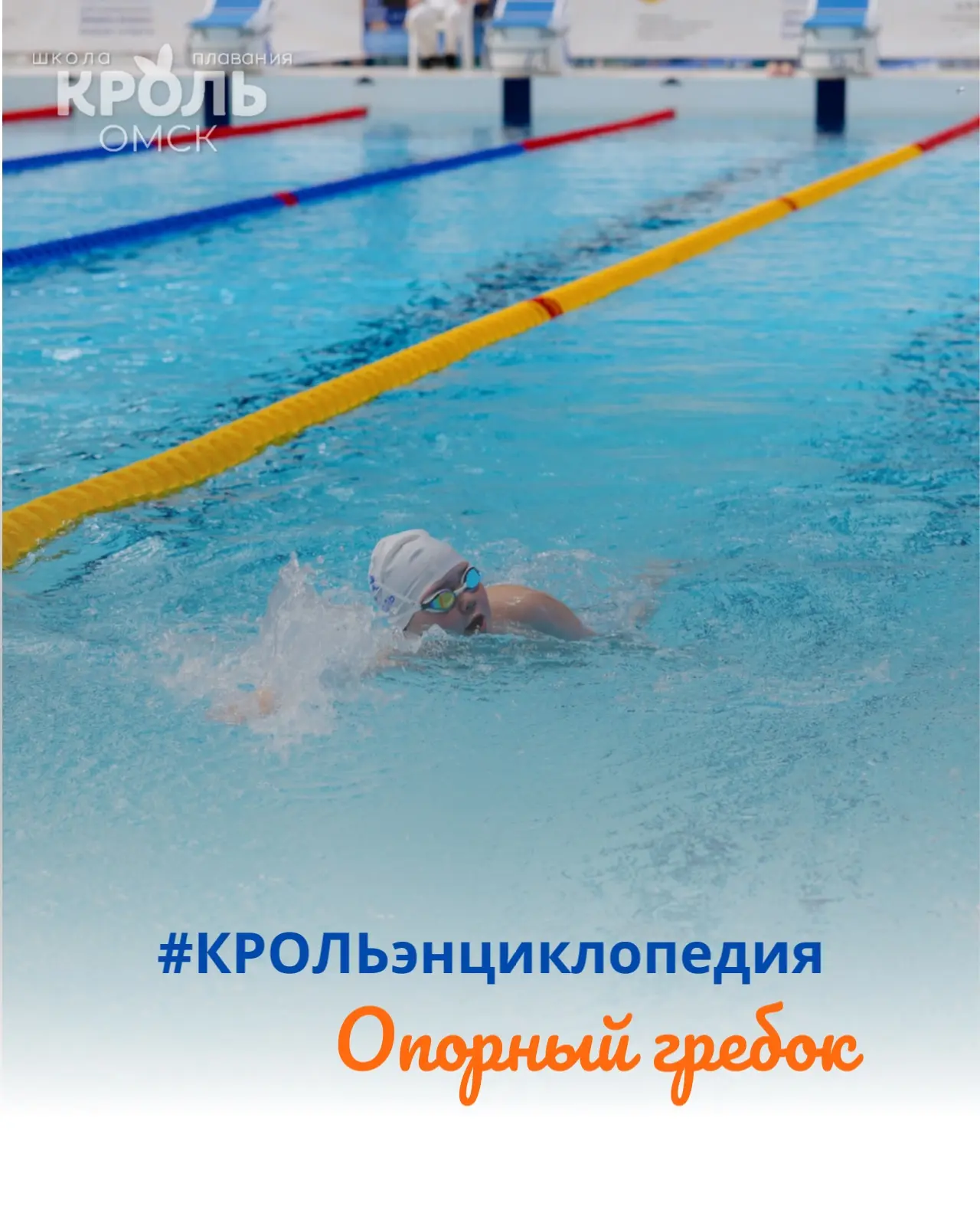 📚 КрольЭнциклопедия. Выпуск 13