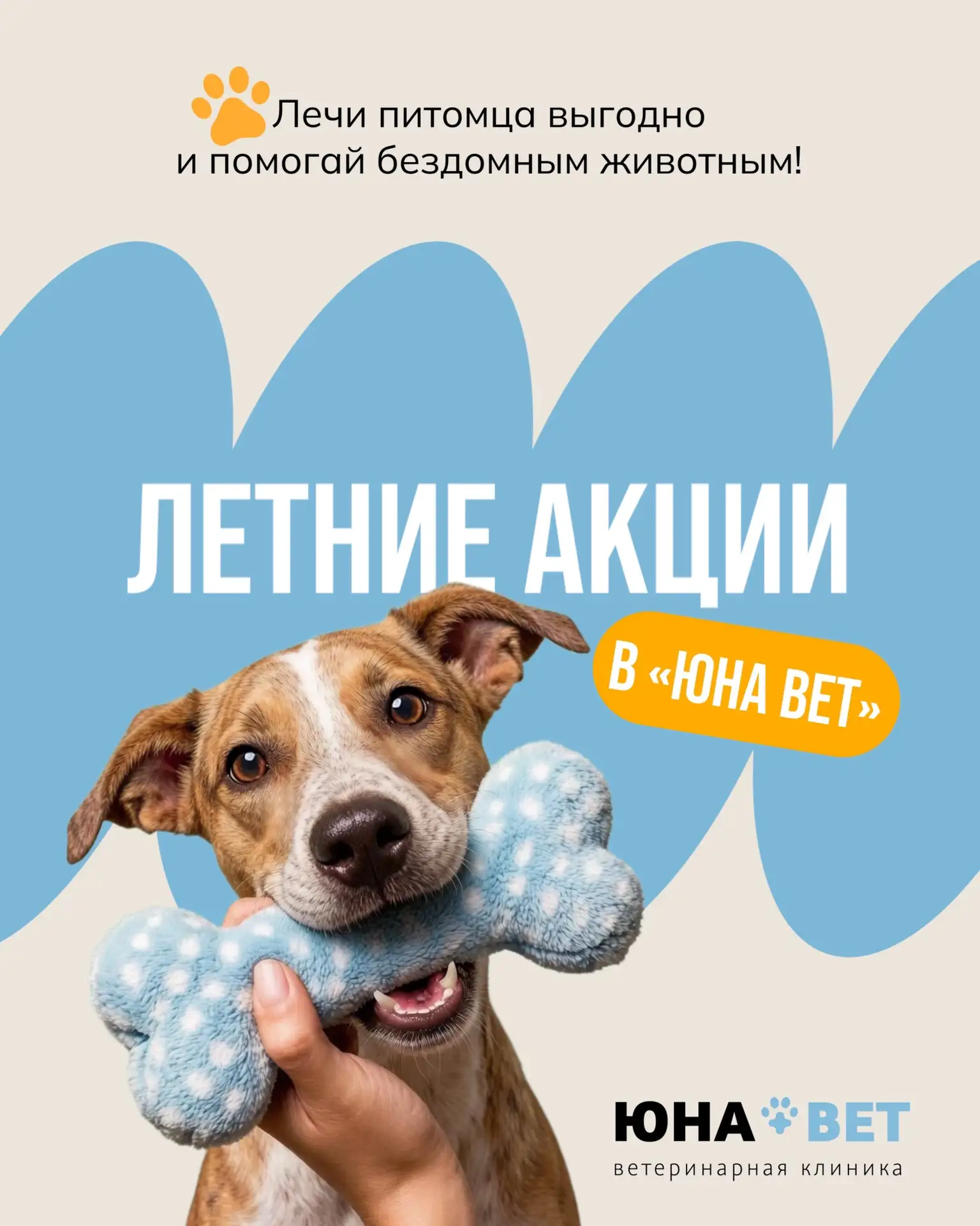 Скидкопад в «Юна Вет»! 

🔆 Лето — самое время позаботиться о здоровье вашего питомца. Мы подготовил